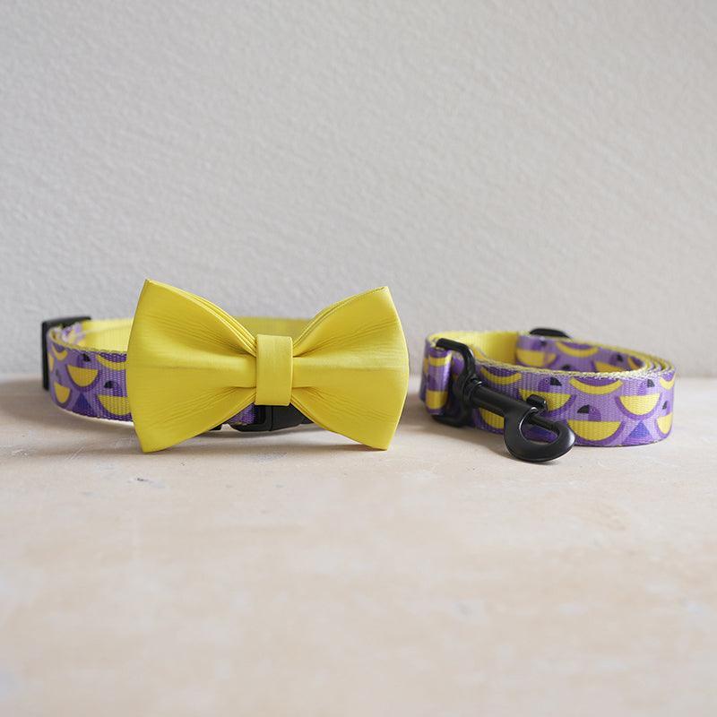 Pocket Parrot Personalized Dog Collar with Leas & Bow tie Set - iTalkPet