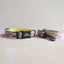 Pocket Parrot Personalized Dog Collar with Leas & Bow tie Set - iTalkPet