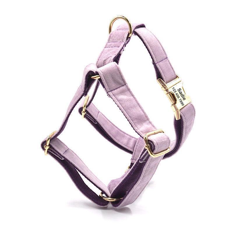 Purple Velvet Personalized Dog Collar Leash Harness Bowtie Poop Bag Set - iTalkPet