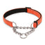 Reflective Nylon Soft Padded Martingale Dog Collar - iTalkPet