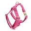 Rose Stripe Velvet Personalized Dog Collar Leash Harness Bowtie Poop Bag Set - iTalkPet