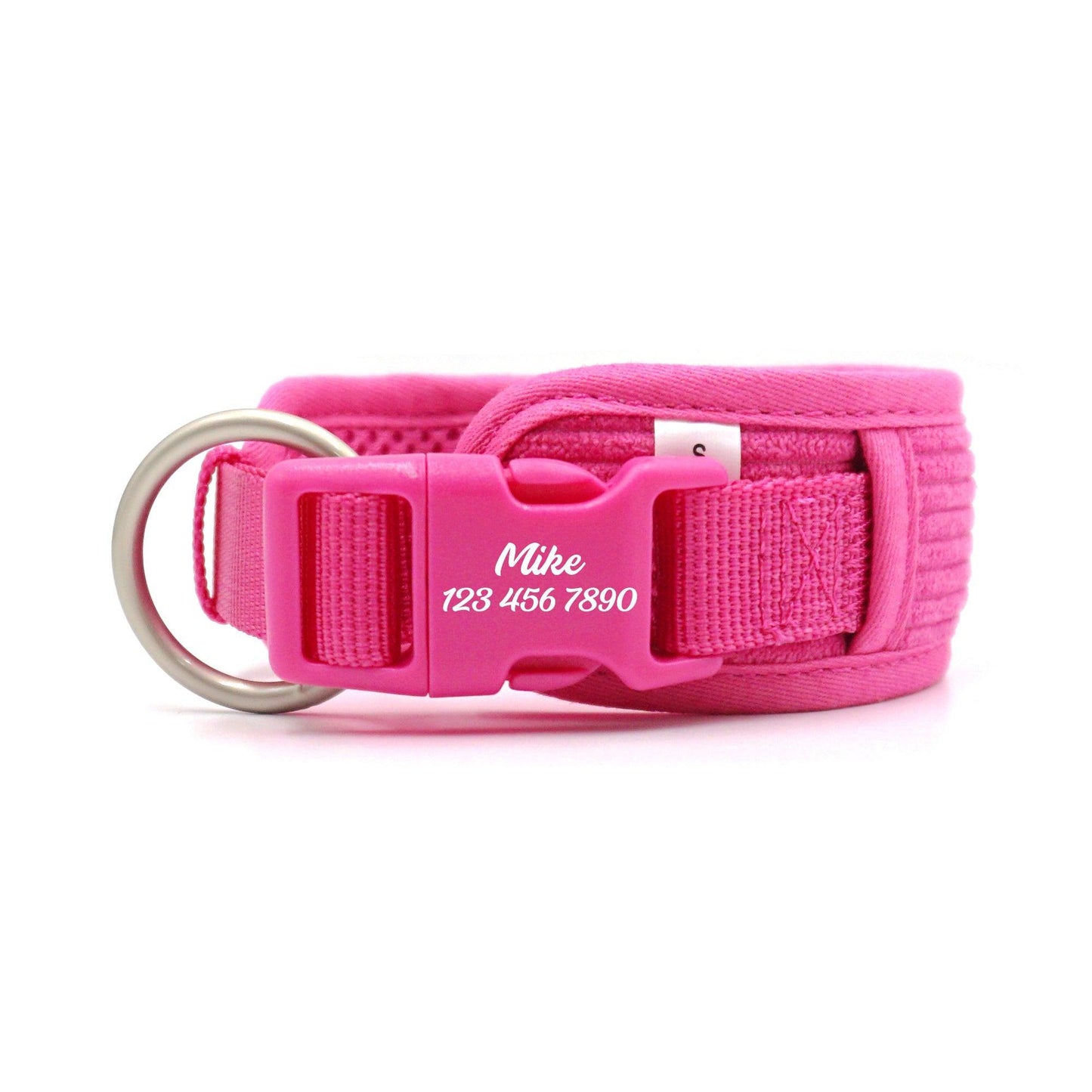 Rose Striped Solid Personalized Dog Collar - iTalkPet