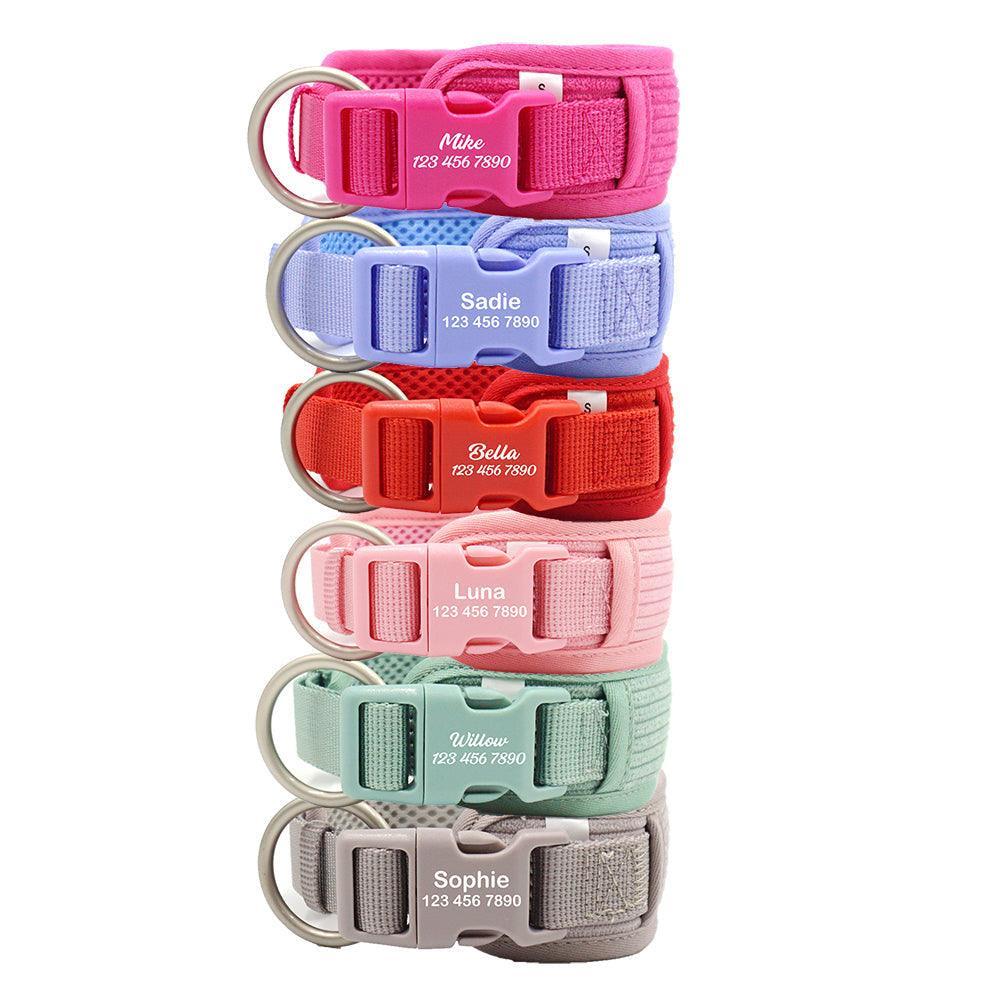 Rose Striped Solid Personalized Dog Collar - iTalkPet