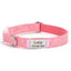 Soft Leather Transparent Buckle Custom Engraving Dog Collar - iTalkPet