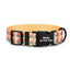 Sunflower Personalized Dog Collar with Leas & Bow tie Set - iTalkPet