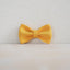 Yellow Plaid Personalized Dog Collar with Leas & Bow tie Set - iTalkPet