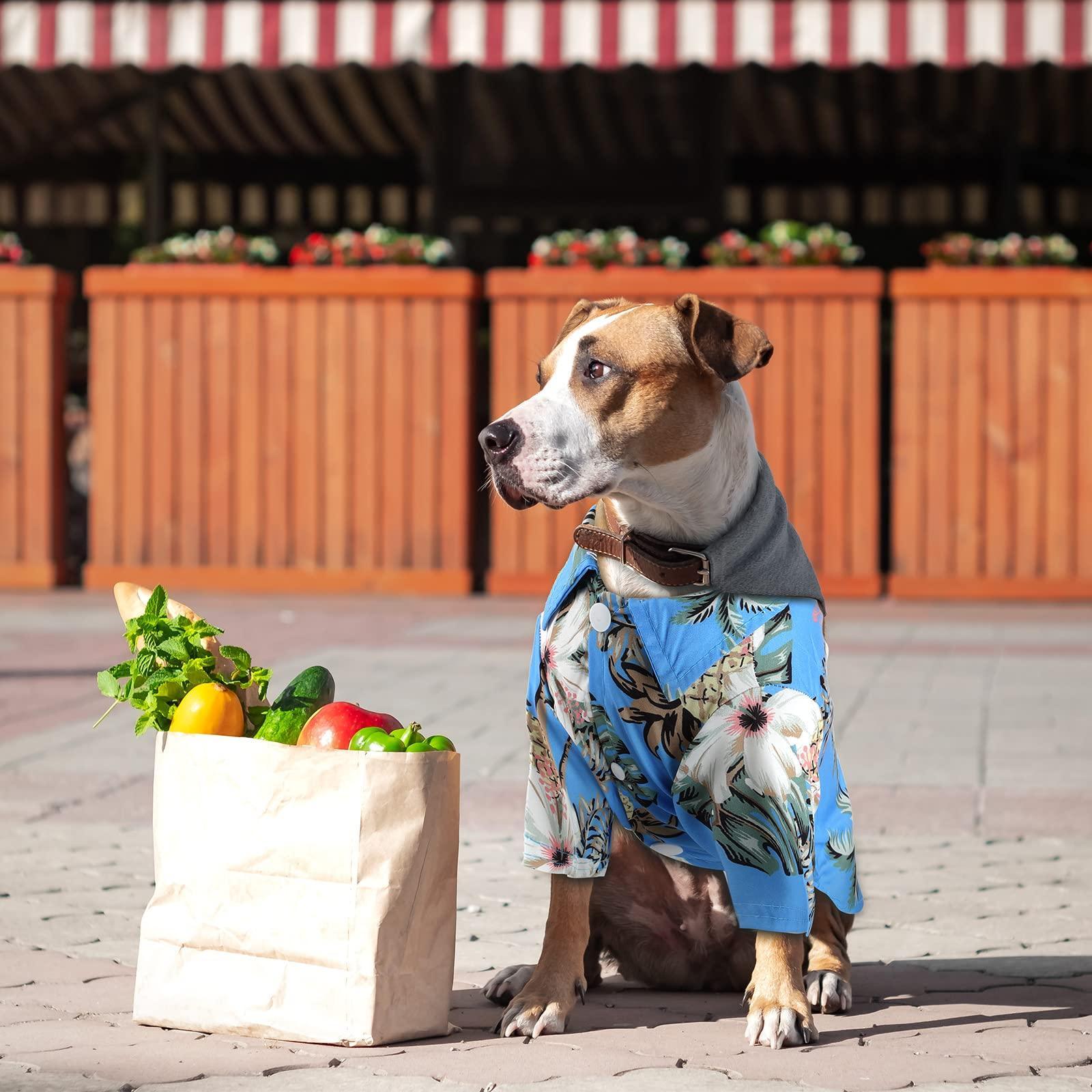 4 Pieces Pet Summer T-Shirts Hawaii Style Floral Dog Shirt - iTalkPet