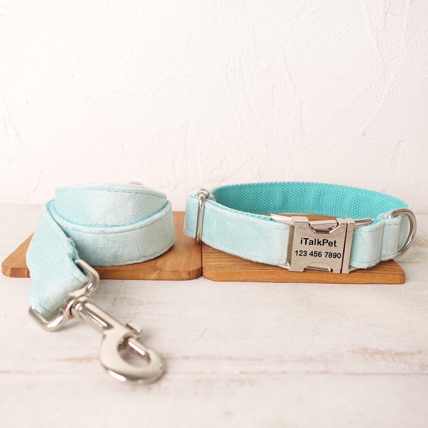 Aqua Blue Personalized Dog Collar Set - iTalkPet