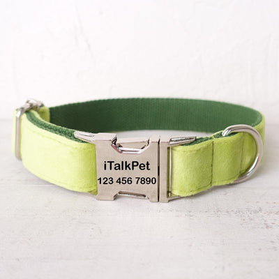 Avocado Personalized Dog Collar Set - iTalkPet