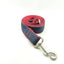 Blue Red Personalized Dog Collar Set - iTalkPet