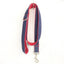 Blue Red Personalized Dog Collar Set - iTalkPet