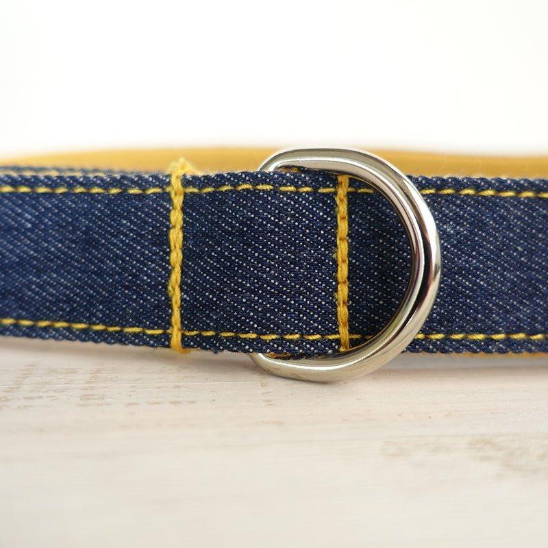 Blue Yellow Personalized Dog Collar Set - iTalkPet