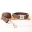 Brown Suit Personalized Dog Collar Set - iTalkPet