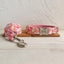 Bubbles Pink Personalized Dog Collar Set - iTalkPet