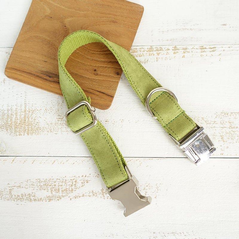 Candy Green Personalized Dog Collar Set - iTalkPet