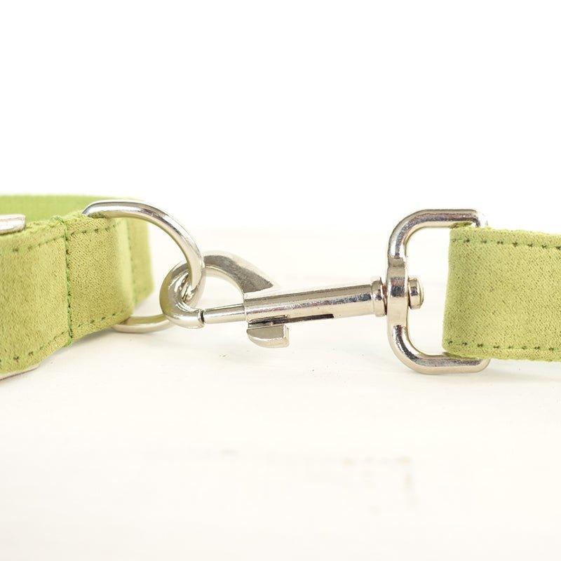 Candy Green Personalized Dog Collar Set - iTalkPet
