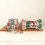 Christmas Deer Personalized Dog Collar Set - iTalkPet