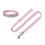 Cotton Personalized Dog Collar And Leash Set - iTalkPet