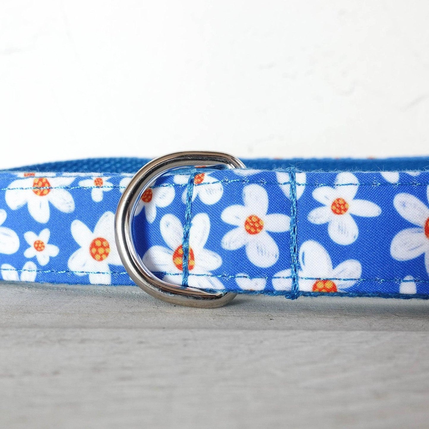 Daisy Blue Personalized Dog Collar Set - iTalkPet