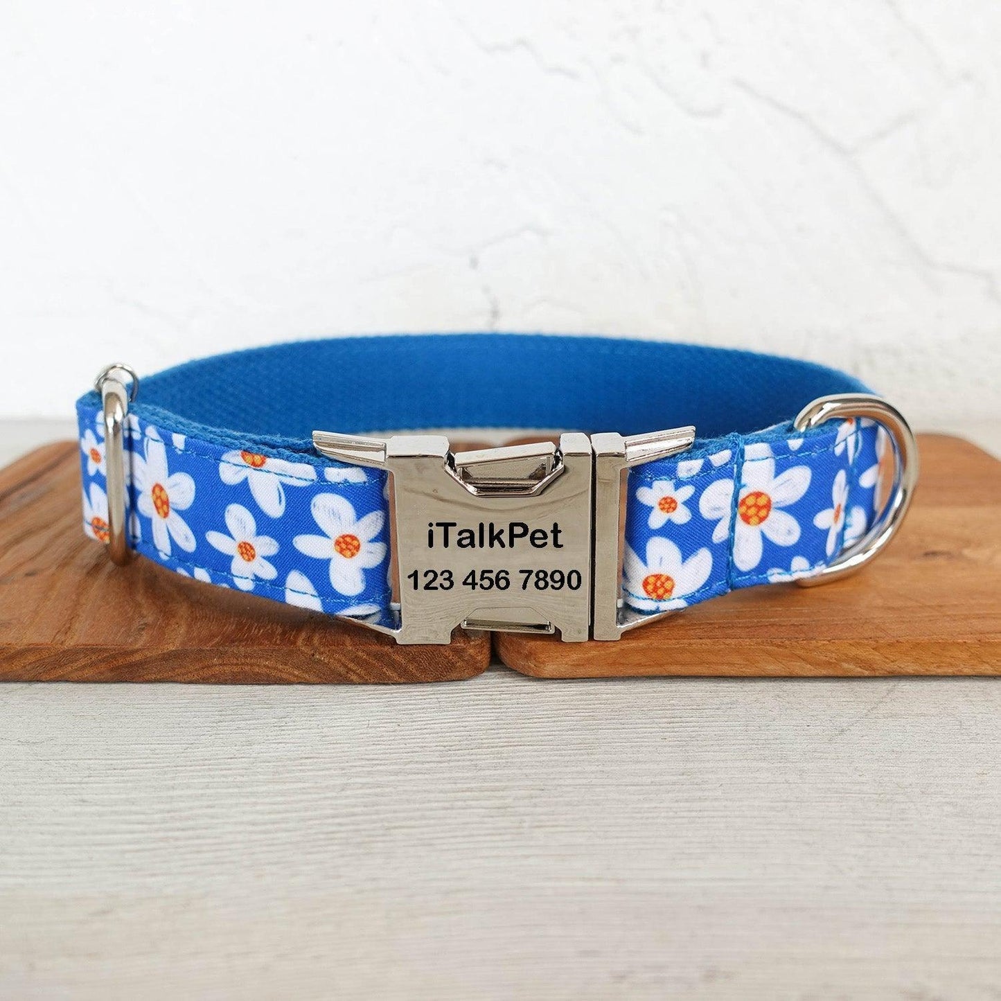 Daisy Blue Personalized Dog Collar Set - iTalkPet