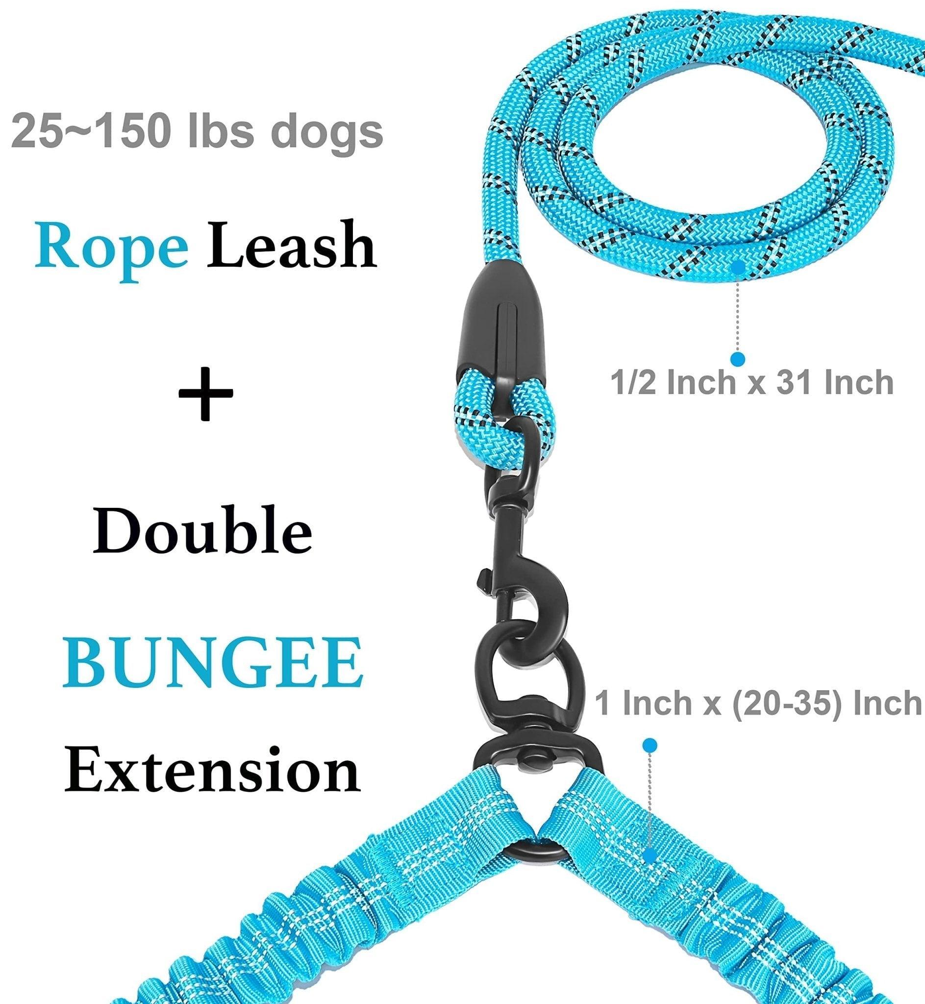 Dual Dog Leash 360 Swivel No Tangle Walking Double Dog Leash - iTalkPet