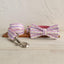 Enchanted Pink Personalized Dog Collar Set - iTalkPet