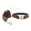 Fashion Thickened Soft Custom Dog Collar Set - iTalkPet