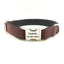 Fashion Thickened Soft Custom Dog Collar Set - iTalkPet