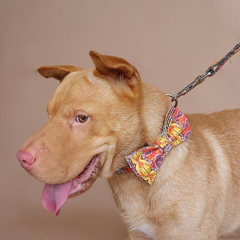 Gray Bohemian Personalized Dog Collar Set - iTalkPet