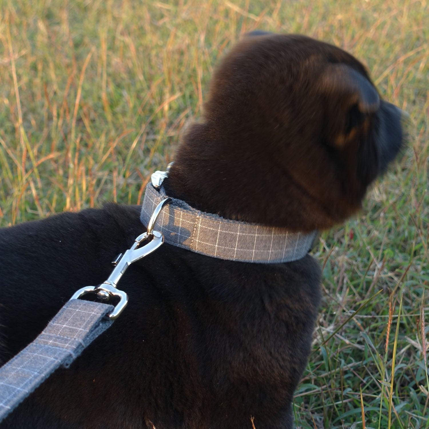 Gray Plaid Thickened Soft Custom Dog Collar Set - iTalkPet