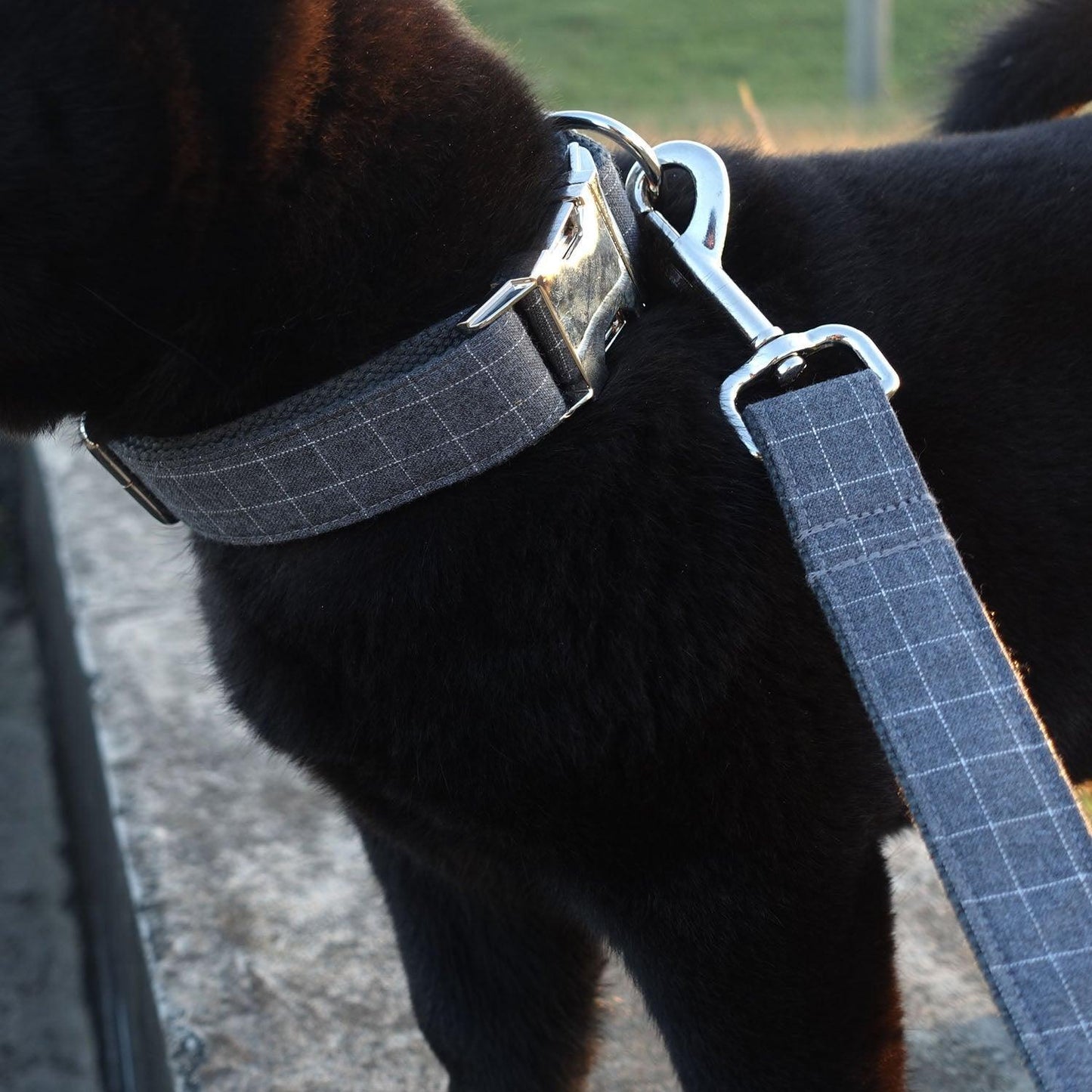 Gray Plaid Thickened Soft Custom Dog Collar Set - iTalkPet