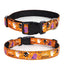 Halloween Adjustable Dog Collar - iTalkPet