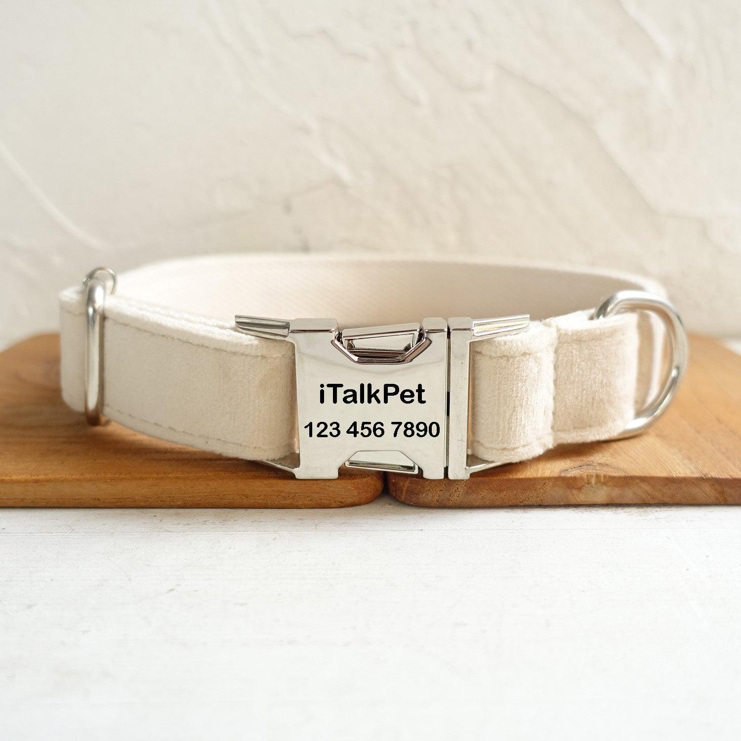 Milk White Personalized Dog Collar Set - iTalkPet