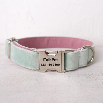 Mint Purple Personalized Dog Collar Set - iTalkPet