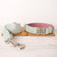 Mint Purple Personalized Dog Collar Set - iTalkPet