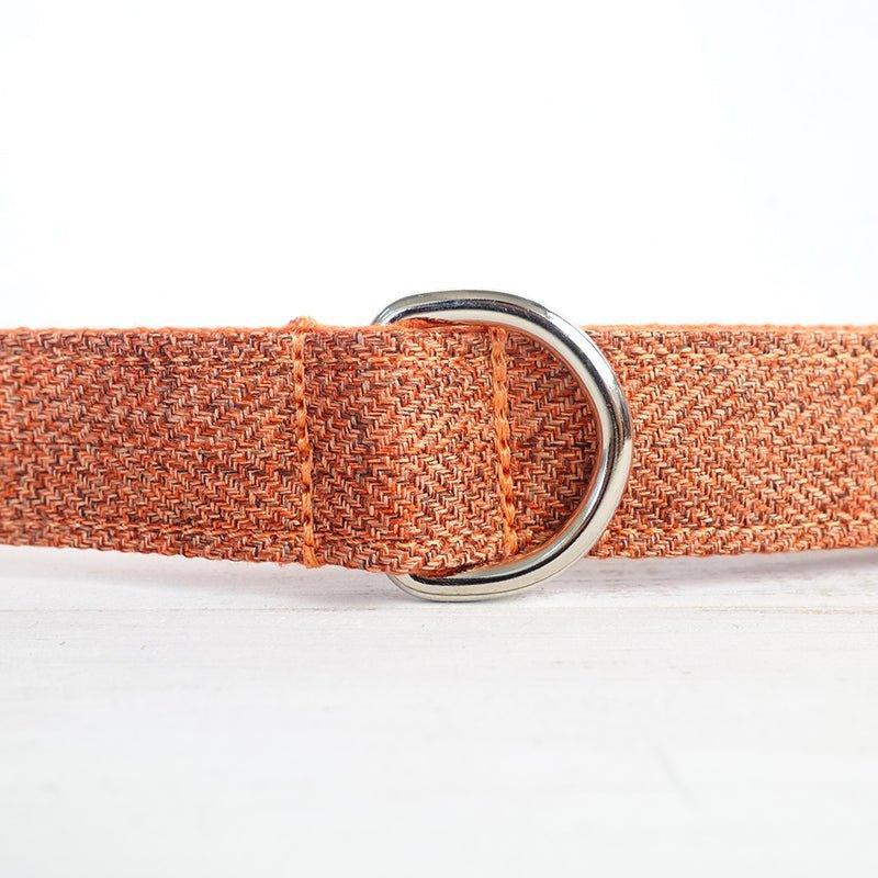 Orange Suit Personalized Dog Collar Set - iTalkPet