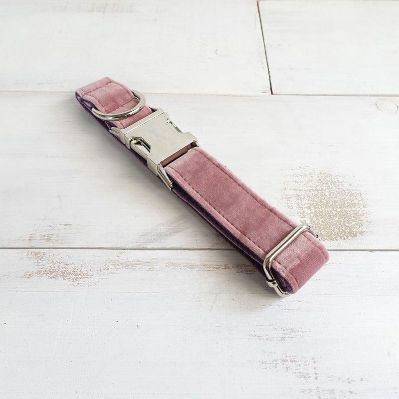 Pink Purple Personalized Dog Collar Set - iTalkPet