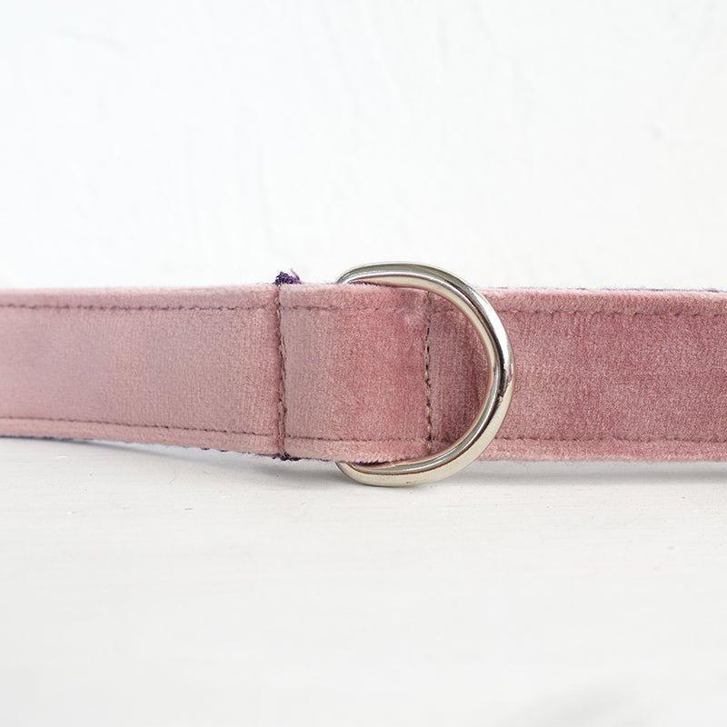 Pink Purple Personalized Dog Collar Set - iTalkPet