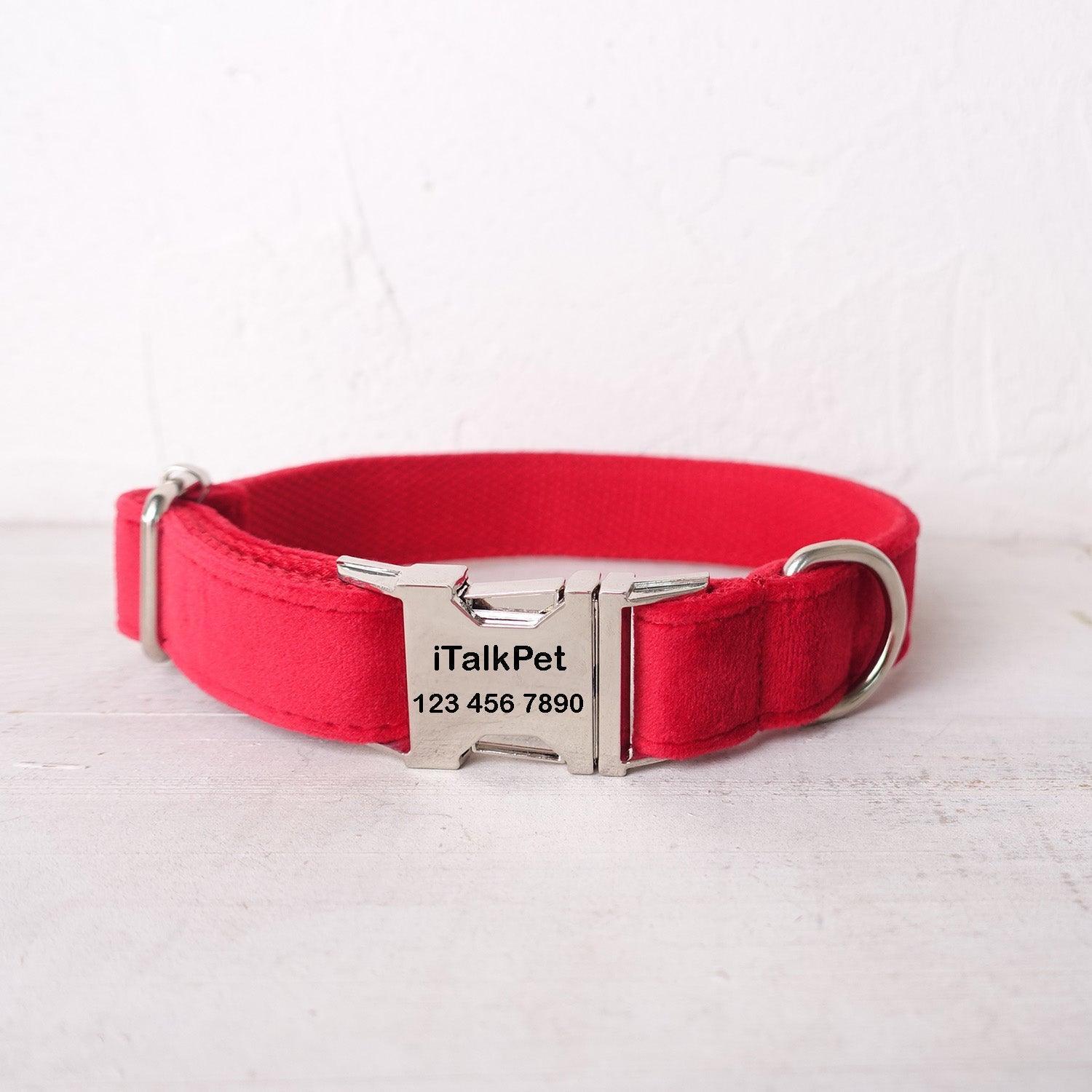 Red Personalized Dog Collar Set - iTalkPet