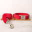 Red Personalized Dog Collar Set - iTalkPet