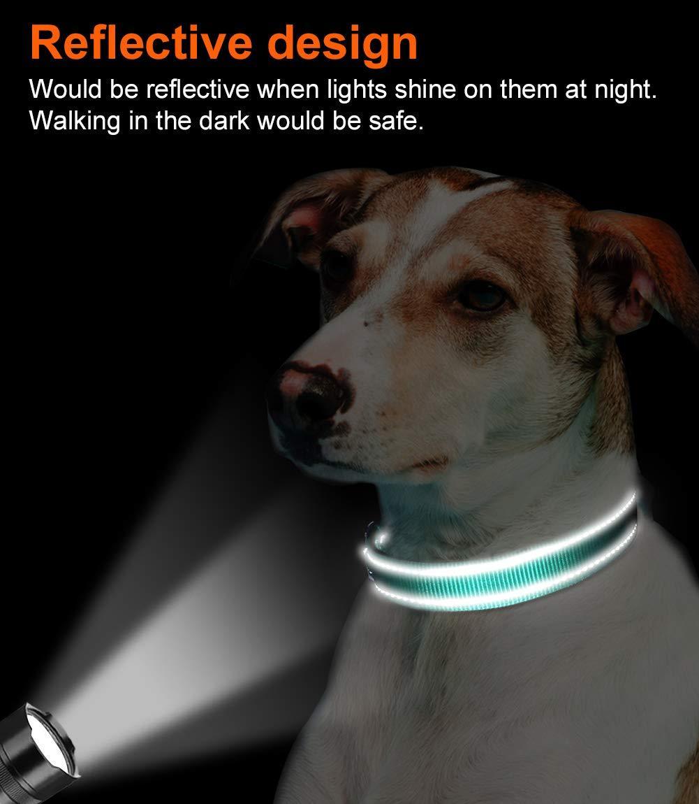 Reflective Dog Collar - Adjustable Soft Neoprene Padded Breathable Nylon Pet Collar - iTalkPet
