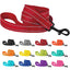 Reflective Nylon Dog Leash - iTalkPet