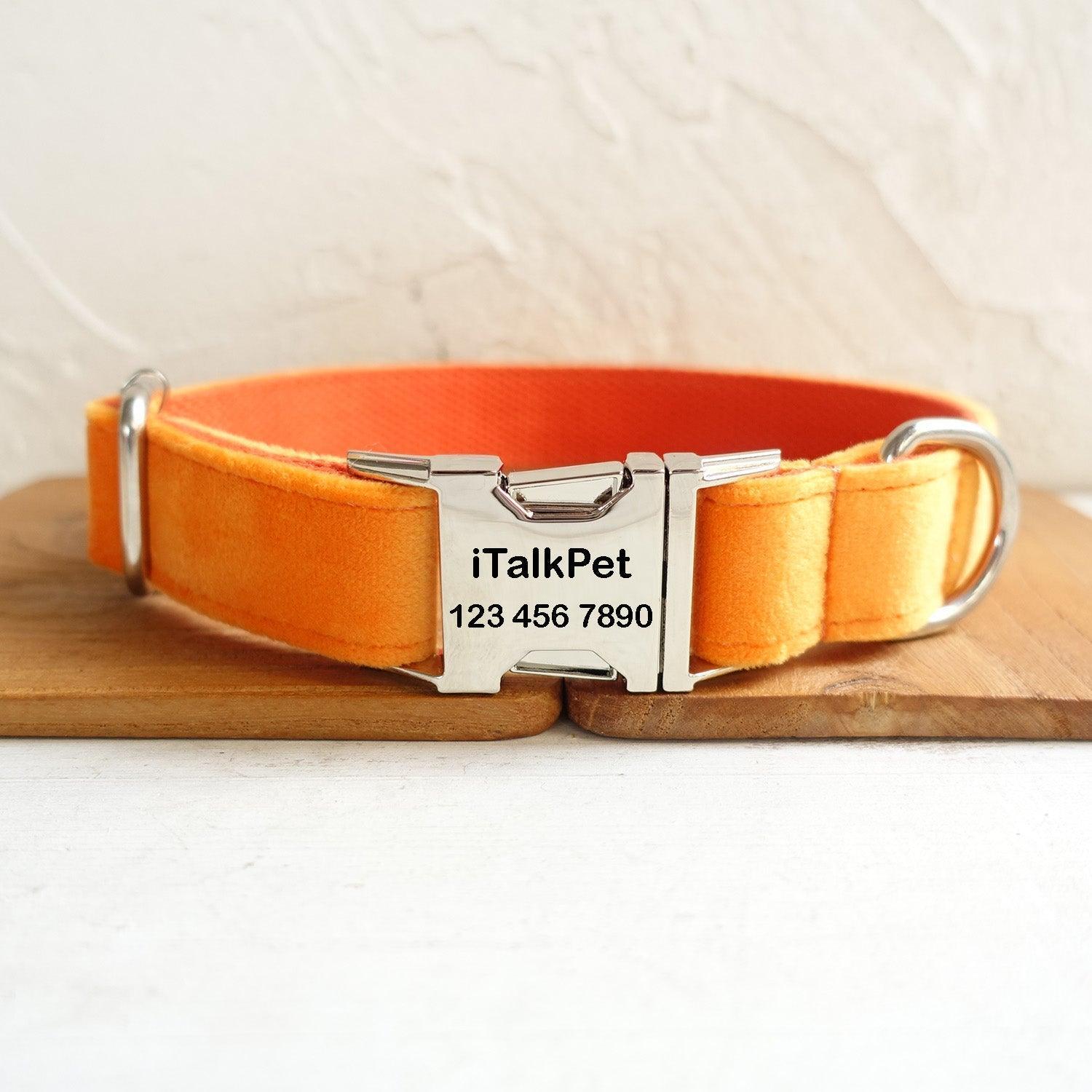 Soft Orange Personalized Dog Collar Set - iTalkPet