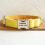 Soft Yellow Personalized Dog Collar Set - iTalkPet