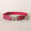 Solid Color Adjustable Personalized Kitten Collar With Bell - iTalkPet