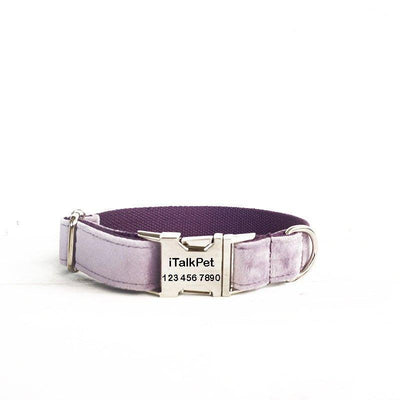 Violet Personalized Dog Collar Set - iTalkPet