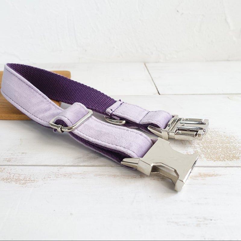 Violet Personalized Dog Collar Set - iTalkPet