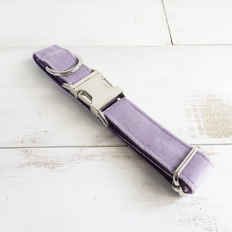 Violet Personalized Dog Collar Set - iTalkPet