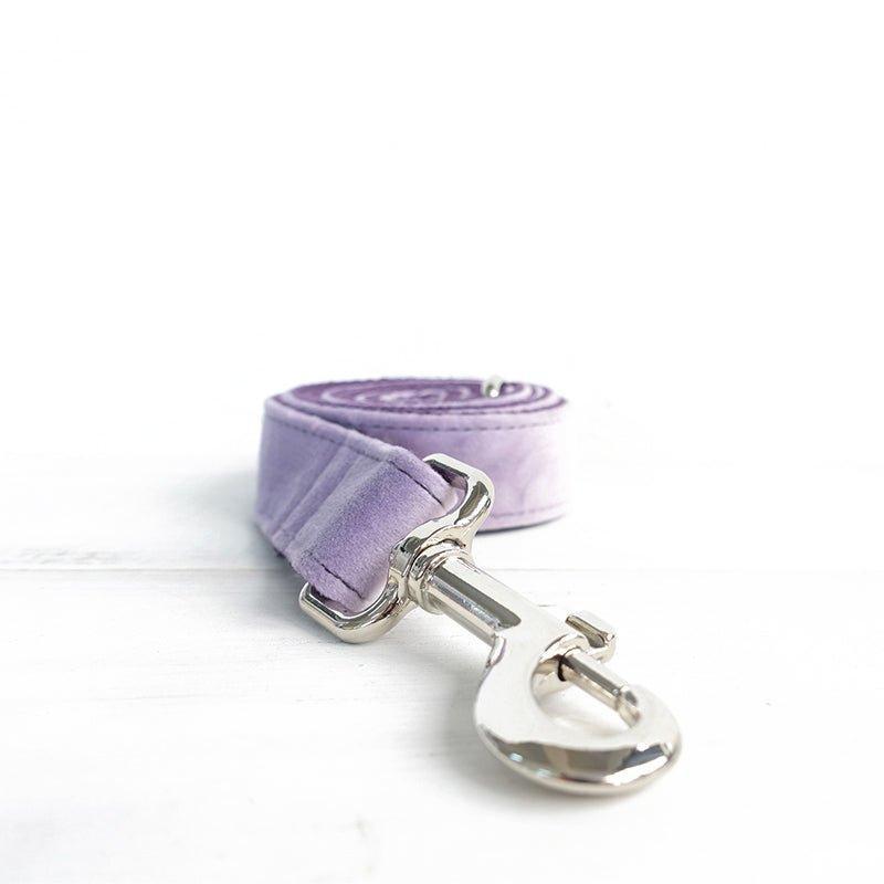 Violet Personalized Dog Collar Set - iTalkPet