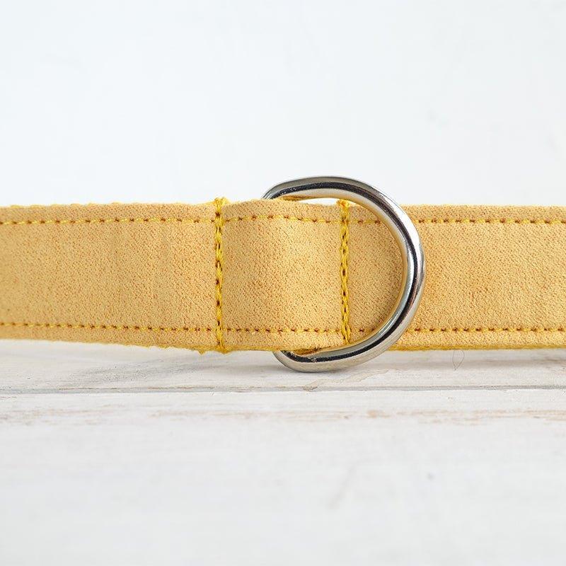 Yellow Personalized Dog Collar Set - iTalkPet